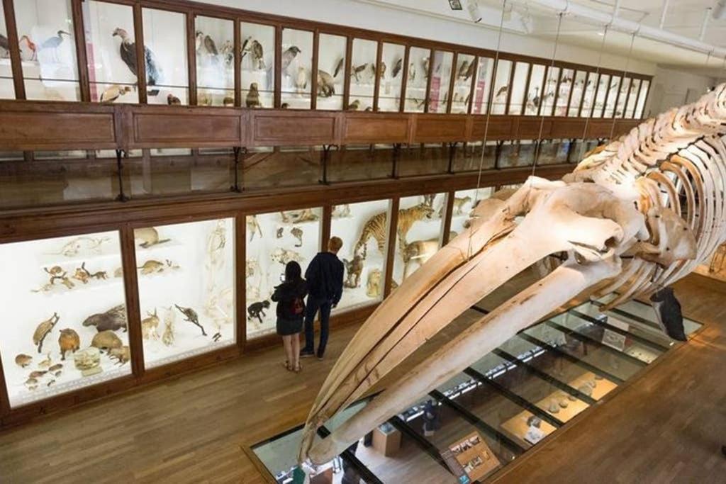 Lulu, Le Studio Du Chateau Leilighet Nantes Eksteriør bilde